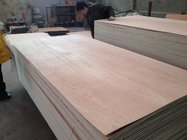 okoume f/b,hardwood core e0 glue plywood