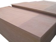 okoume f/b,hardwood core melamine glue plywood