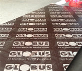film faced plywood with combi core brown film melamine glue