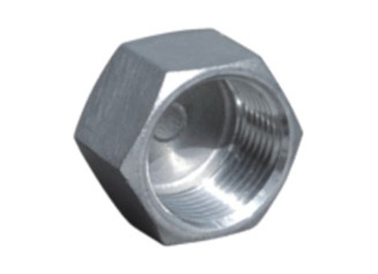 China HEXAGON HEAD CAP Stainless Steel Hexagon Plug wholesale supplier