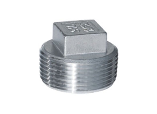 China SQUARE PLUG Threaded Fitting Stainless Steel Square Plug China supplier