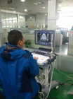4D Color Doppler ultrasound diagnostic system
