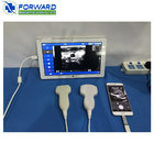 portable usb 128 elements ultrasound probe machine color doppler ultrasound scanner
