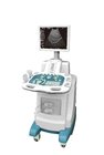 Ce, FDA Certified Trolley Ultrasound Scanner Diagnosis System Sonographic Machine (YJ-U100T)