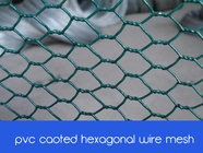 pvc coated hexagonal wire mesh/chicken wire mesh(factory price)