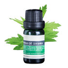 Blumea oil 100% Pure, Best Therapeutic Grade Essential Oil - 100ml