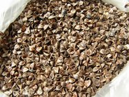 sell buckwheat husk (hull)  perfect rate 70%min.