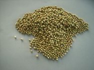 sell buckwheat kernel (new crop)  moisture 14%max broken 5%max