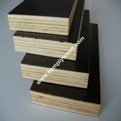 Phenolic film faced plywood board price/ structural plywood/ film faced shuttering plywood