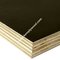 Cheap price black film faced plywood, black shuttering film faced plywood with brand logo, phenolic plywood
