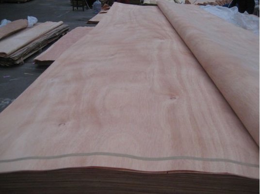 Natural wood veneer/ PLB veneer/ Gurjan veneer , Rotary cut natural wood veneer