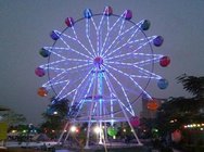 30m ferris wheel for sale