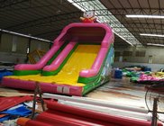 China Supplier hot selling good quality inflatable slip n slide/ infatable dry slip n slide for kids and adults