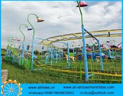 Wacky Worm/Caterpillar Slide Amusement Park Rides dragon coaster for sale