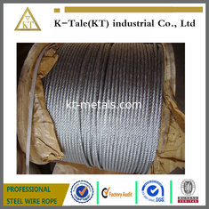 China wire rope used in electric hoist supplier