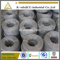 China ASTM standard galvanized aircraft cable for America supplier