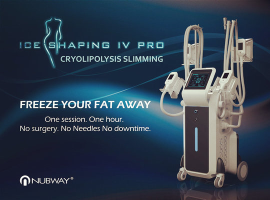 China Cool sculpting Slimming 4 Cryo Handles Work Together Fat Freezing Cryolipolysis Machine supplier