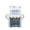 2020 most popular 6 in 1 multi-function water absorption Skin care Microdermabrasion Hydra facial machine supplier