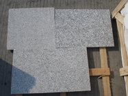 Hot sales G602 Granite,Cheap Chinese Granite G602 Polished Light Grey Granite Pavers,Paving Tile