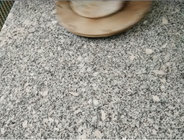 Cheapest Chinese Pearl White Grey granite Stair China White Granite Step&Riser Tile on sales