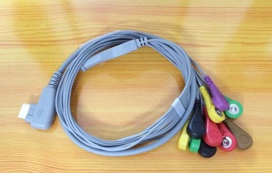 China DMS ECG Patient Cable for DMS300 Holter Series 10 Leads Holter ECG Cable W/ AHA Snap supplier