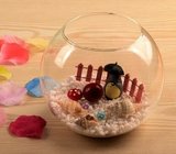 hand blow glass terrarium  fish tank decoration glass container  10cm diameter and other size