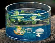 hand blow glass terrarium glass fish tank Hydroponics container