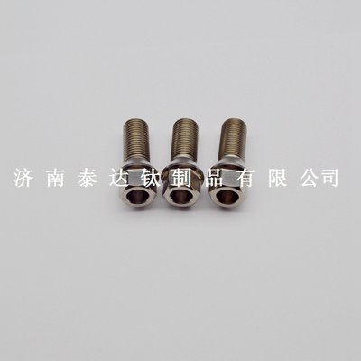 China titanium lug bolts supplier