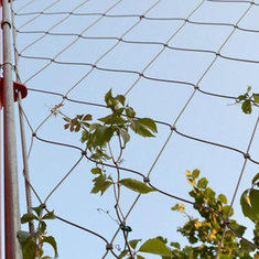 China Anping flexible stainless steel cable mesh,diamond mesh fence wire fencing supplier