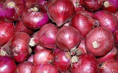 China Onion Prices in China Are Under Pressure from The Listing of Indin Onions supplier