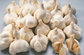 Our Dry Garlic Production Doubled This Season supplier