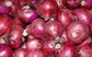 Onion Prices in China Are Under Pressure from The Listing of Indin Onions supplier