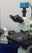 Smart HD Microscope Camera With Measurement Software And Analysis Function supplier