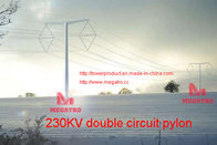 MEGATRO 230KV double circuit pylon
