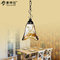 Single Head Matte Black  Wrought Iron Lighting Fixtures Hanging Pendant Lights supplier