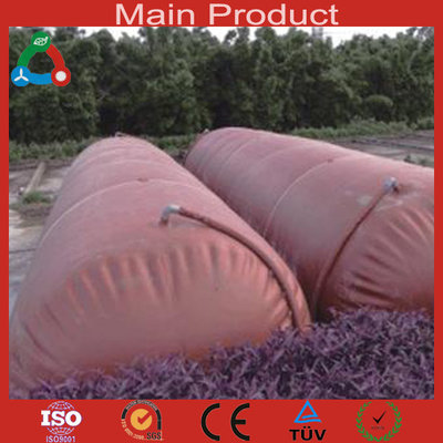 China Waste treatment  big size biogas system supplier