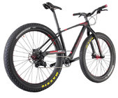 ICAN Hot Sale 29er mtb carbon bicycle 29 plus mountain bike bicycle