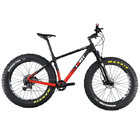 Mountain Bike Painting carbon complate fat bike with Maxxi tire 26*4.8 tire