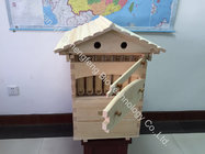 2018 Hive flow factory directly supply pine fir material automatic auto bee honey flow hive with reasonable price