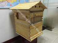 2018 Henan beehive factory directly supply 10 and 7 pcs automatic honey flow bee hive and auto beehive flow