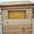 Auto Flow Frame for Honey Comb Langstroth Beehive Harvesting honey self outflow Bee Hive Frame