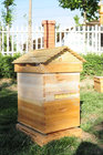 Wooden Honey Outflow Beehives or Plastic Auto Flow Hive Frames