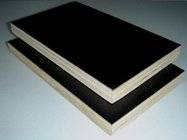 Hot Sale Plywood For Construction Materials Prices , China Hot Film Faced Plywoood Factory