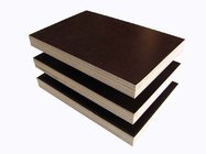 Construction used cheap marine plywood price / 18mm marine plywood