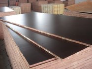 Hot sale poplar core cheap film faced plywood for construction laminated marine plywood prices