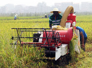 Nongyou 4LZ-0.8 Small Paddy Combine Harvester Machine 15HP for Dryland