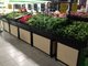 supermarket vegetables wood display with lift door,supermarket wood vegetables display with lift door supplier