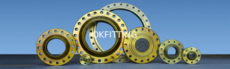 China FLANGES &amp; FORGINGS WSt. 1.4301 WSt. 1.4401 WSt. 1.4541 supplier