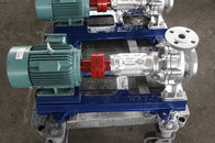 WRY100-65-230 Thermal oil circulating pump