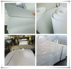 Shoe Toe Puff and Counter Material Nonwoven Chemical Sheet